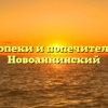 Отдел опеки и попечительства — Новоаннинский