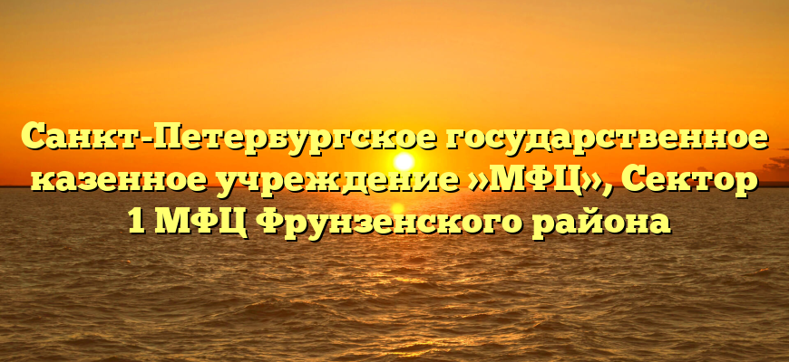 Санкт-Петербургское государственное казенное учреждение »МФЦ», Сектор №1 МФЦ Фрунзенского района