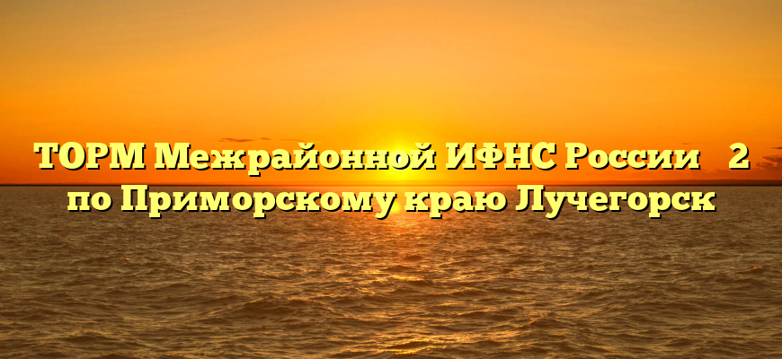 ТОРМ Межрайонной ИФНС России № 2 по Приморскому краю Лучегорск