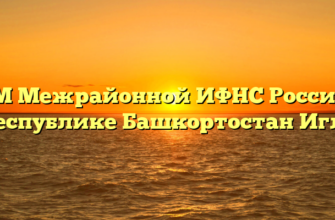 ТОРМ Межрайонной ИФНС России № 31 по Республике Башкортостан Иглино