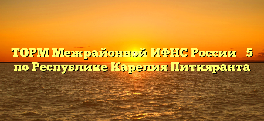 ТОРМ Межрайонной ИФНС России № 5 по Республике Карелия Питкяранта
