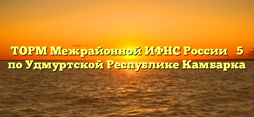 ТОРМ Межрайонной ИФНС России № 5 по Удмуртской Республике Камбарка