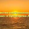 Товарищество собственников жилья «Восточное» в Приморско-Ахтарске