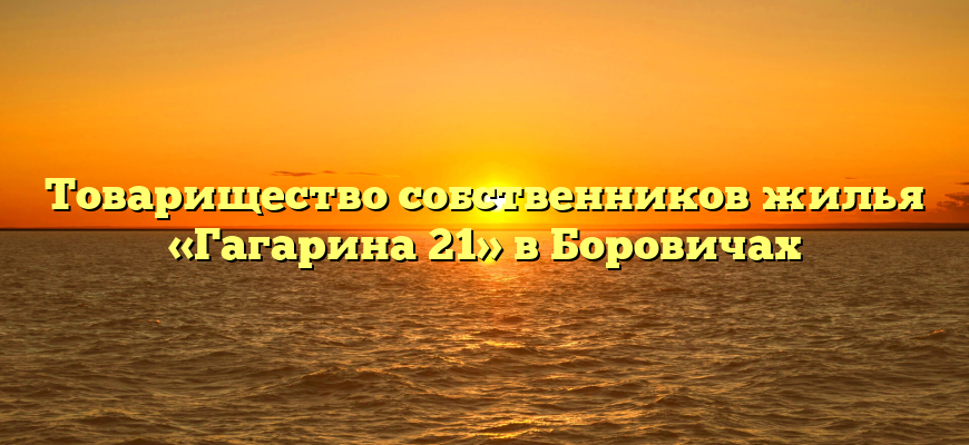 Товарищество собственников жилья «Гагарина 21» в Боровичах