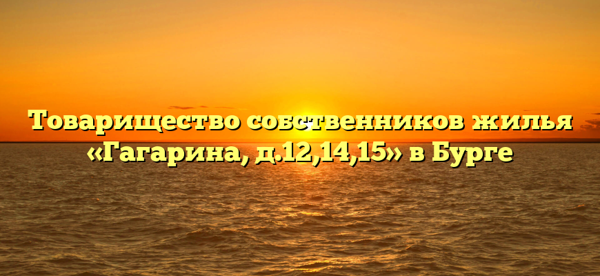 Товарищество собственников жилья «Гагарина, д.12,14,15» в Бурге
