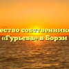 Товарищество собственников жилья «Гурьева» в Борзи