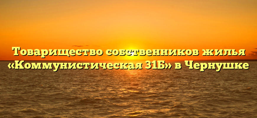 Товарищество собственников жилья «Коммунистическая 31Б» в Чернушке