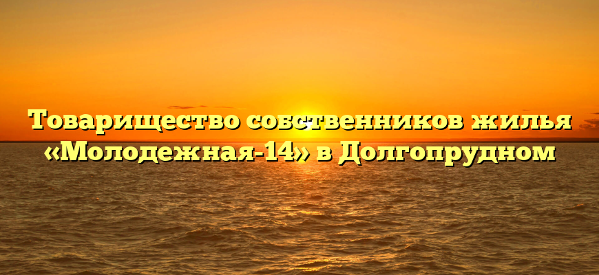 Товарищество собственников жилья «Молодежная-14» в Долгопрудном