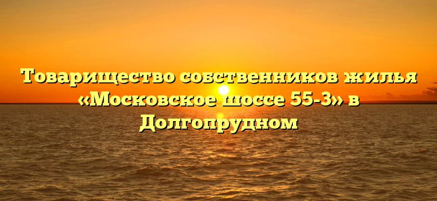 Товарищество собственников жилья «Московское шоссе 55-3» в Долгопрудном