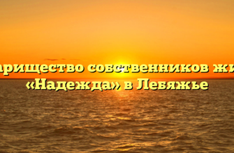 Товарищество собственников жилья «Надежда» в Лебяжье