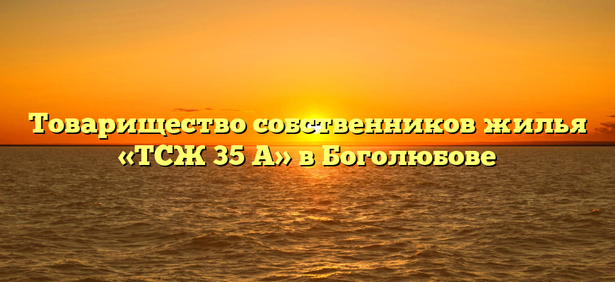 Товарищество собственников жилья «ТСЖ 35 А» в Боголюбове