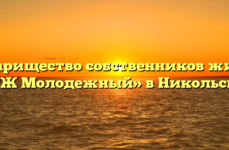 Товарищество собственников жилья «ТСЖ Молодежный» в Никольском