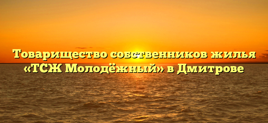 Товарищество собственников жилья «ТСЖ Молодёжный» в Дмитрове