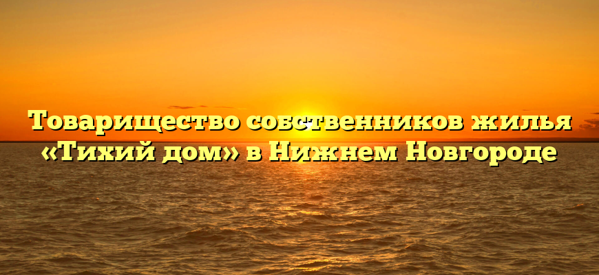 Товарищество собственников жилья «Тихий дом» в Нижнем Новгороде