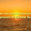 Товарищество собственников жилья «Черемушки» в Малом Бердяуше