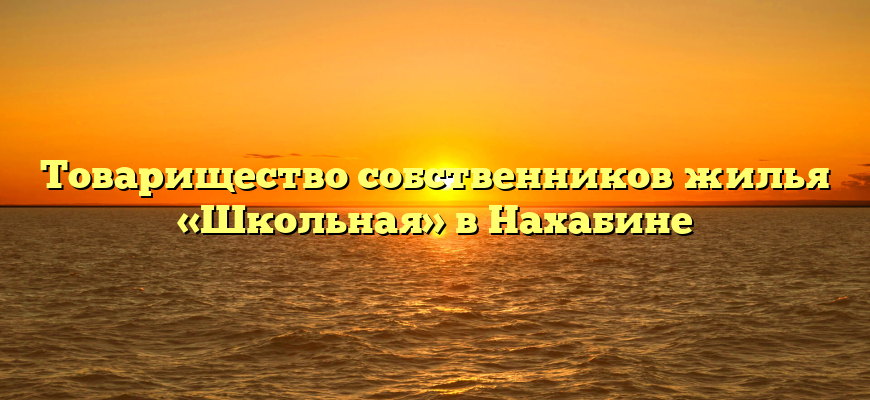 Товарищество собственников жилья «Школьная» в Нахабине