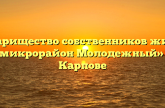 Товарищество собственников жилья «микрорайон Молодежный» в Карпове
