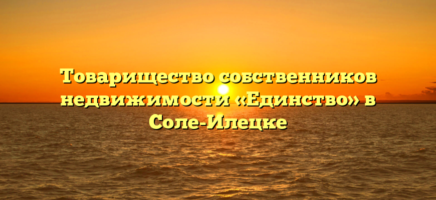 Товарищество собственников недвижимости «Единство» в Соле-Илецке
