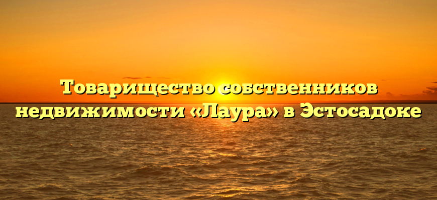 Товарищество собственников недвижимости «Лаура» в Эстосадоке