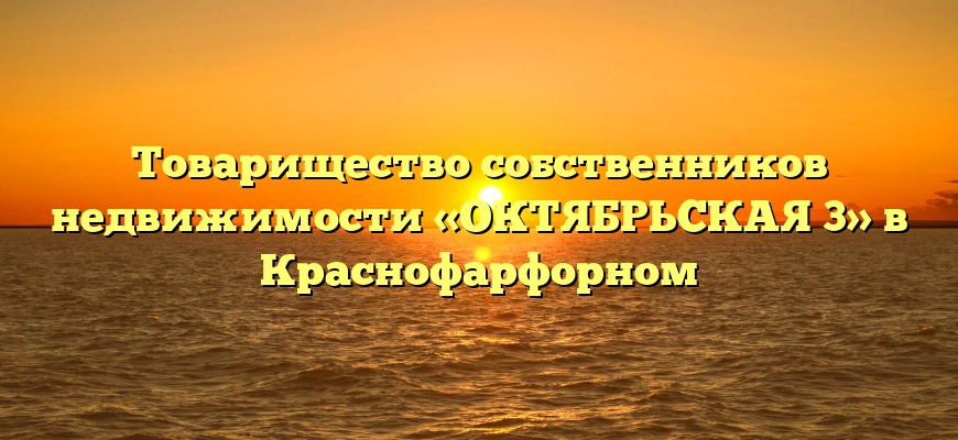 Товарищество собственников недвижимости «ОКТЯБРЬСКАЯ 3» в Краснофарфорном