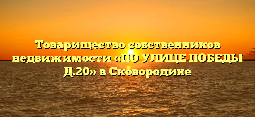 Товарищество собственников недвижимости «ПО УЛИЦЕ ПОБЕДЫ Д.20» в Сковородине