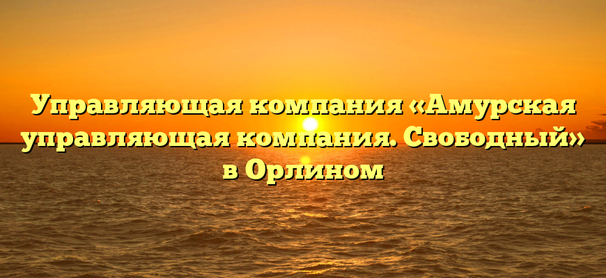 Управляющая компания «Амурская управляющая компания. Свободный» в Орлином