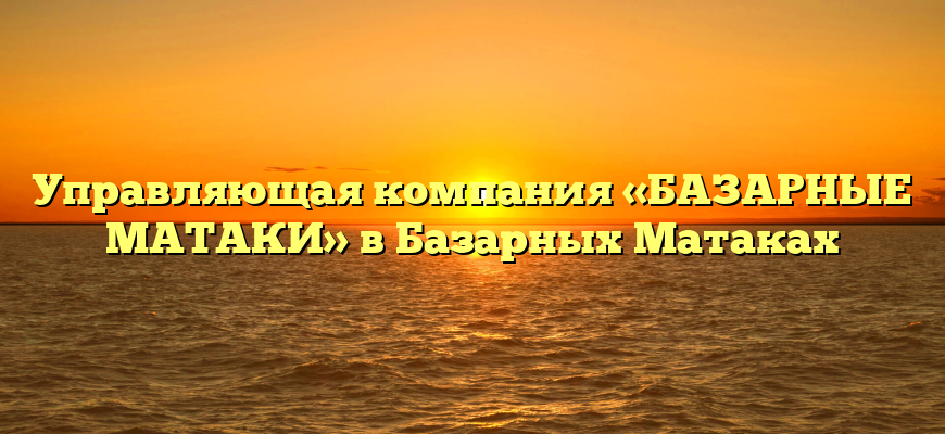 Управляющая компания «БАЗАРНЫЕ МАТАКИ» в Базарных Матаках