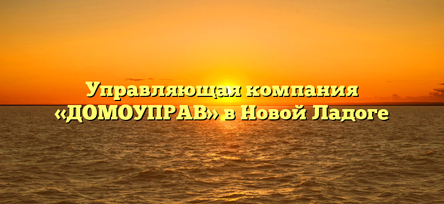 Управляющая компания «ДОМОУПРАВ» в Новой Ладоге