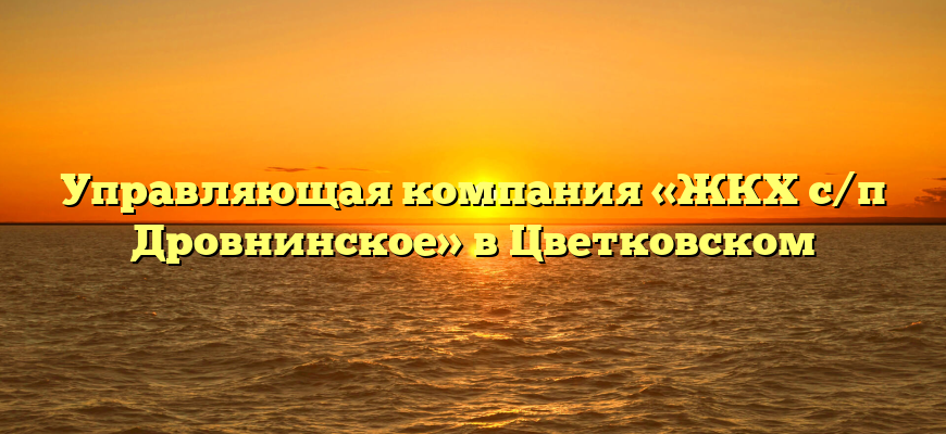 Управляющая компания «ЖКХ с/п Дровнинское» в Цветковском