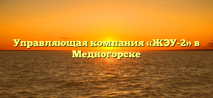 Управляющая компания «ЖЭУ-2» в Медногорске