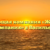 Управляющая компания «Жилищная компания» в Васильеве