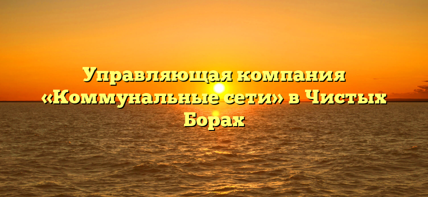 Управляющая компания «Коммунальные сети» в Чистых Борах