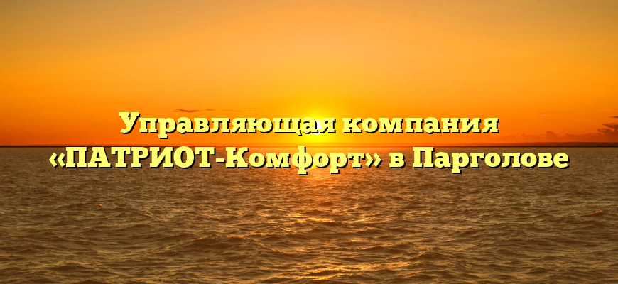 Управляющая компания «ПАТРИОТ-Комфорт» в Парголове