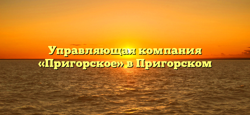 Управляющая компания «Пригорское» в Пригорском