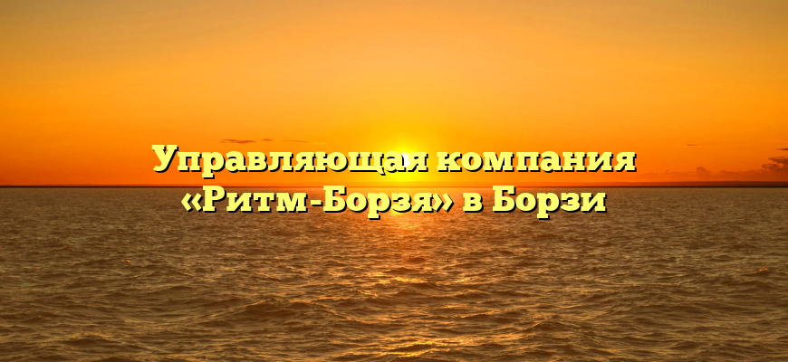 Управляющая компания «Ритм-Борзя» в Борзи