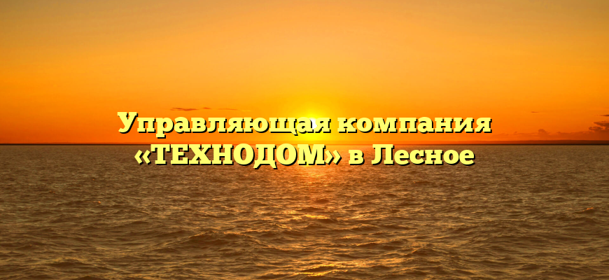 Управляющая компания «ТЕХНОДОМ» в Лесное