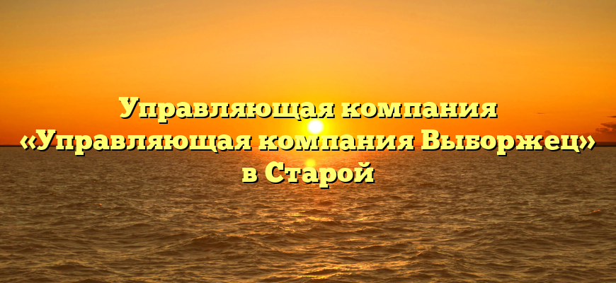 Управляющая компания «Управляющая компания Выборжец» в Старой