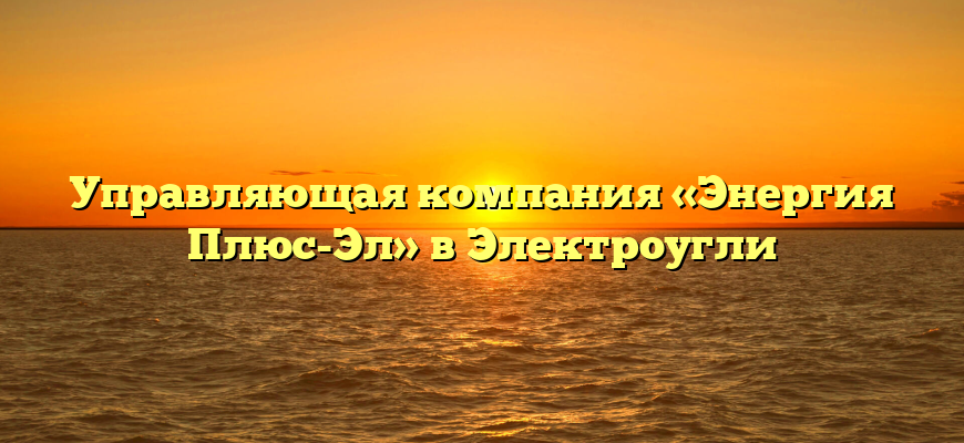 Управляющая компания «Энергия Плюс-Эл» в Электроугли