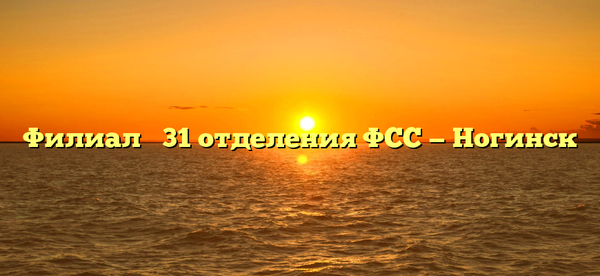 Филиал № 31 отделения ФСС — Ногинск