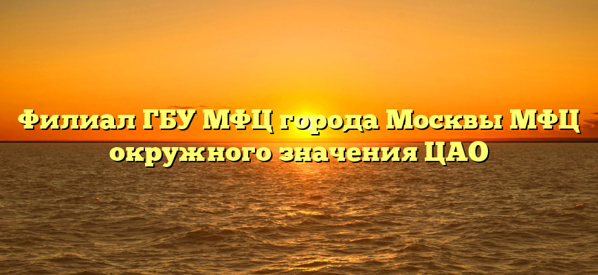 Филиал ГБУ МФЦ города Москвы МФЦ окружного значения ЦАО
