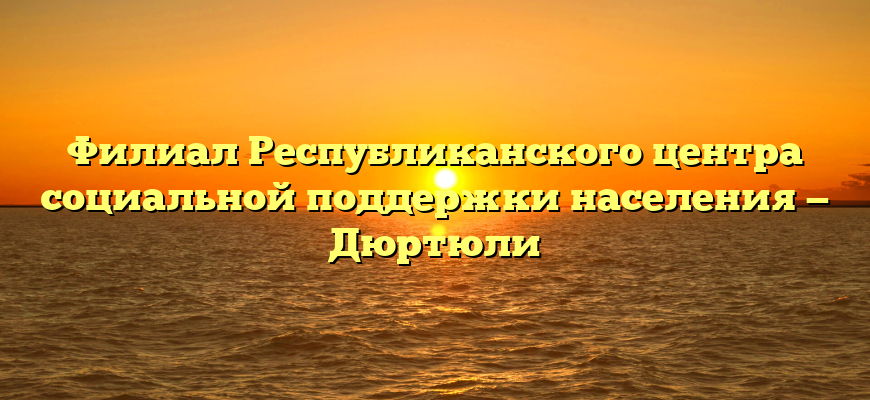 Филиал Республиканского центра социальной поддержки населения — Дюртюли