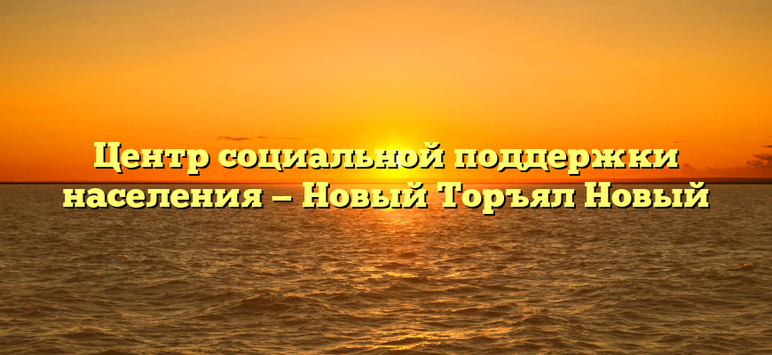 Центр социальной поддержки населения — Новый Торъял Новый