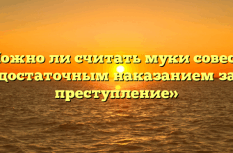 «Можно ли считать муки совести достаточным наказанием за преступление»