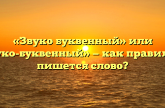 «Звуко буквенный» или «звуко-буквенный» — как правильно пишется слово?