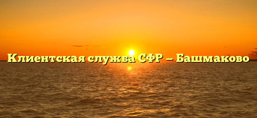 Клиентская служба СФР — Башмаково