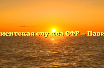 Клиентская служба СФР — Павино