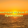 Клиентская служба СФР — Прямицыно