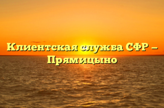 Клиентская служба СФР — Прямицыно