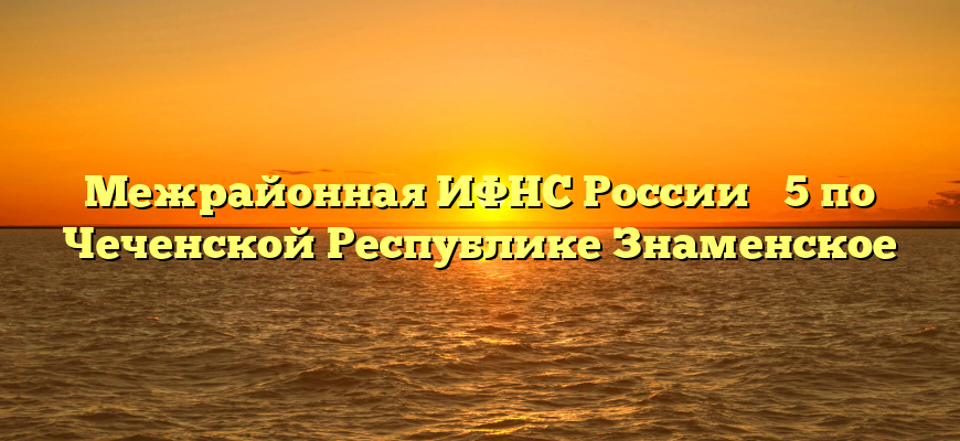 Межрайонная ИФНС России № 5 по Чеченской Республике Знаменское