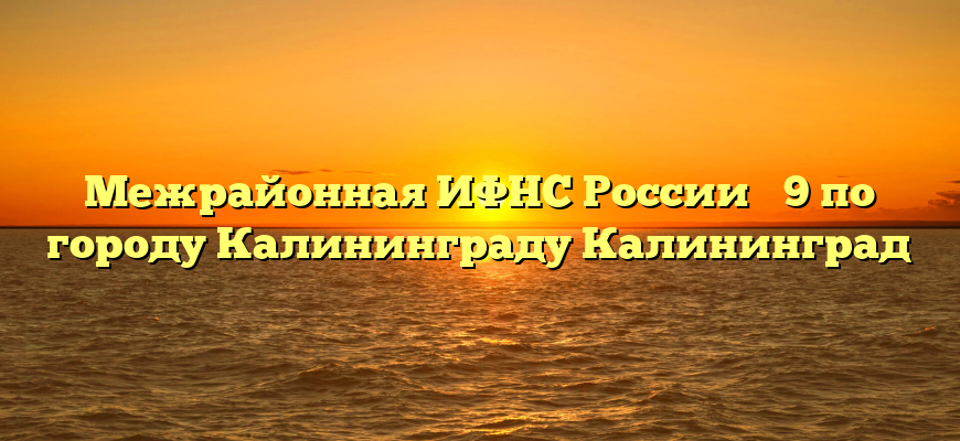 Межрайонная ИФНС России № 9 по городу Калининграду Калининград